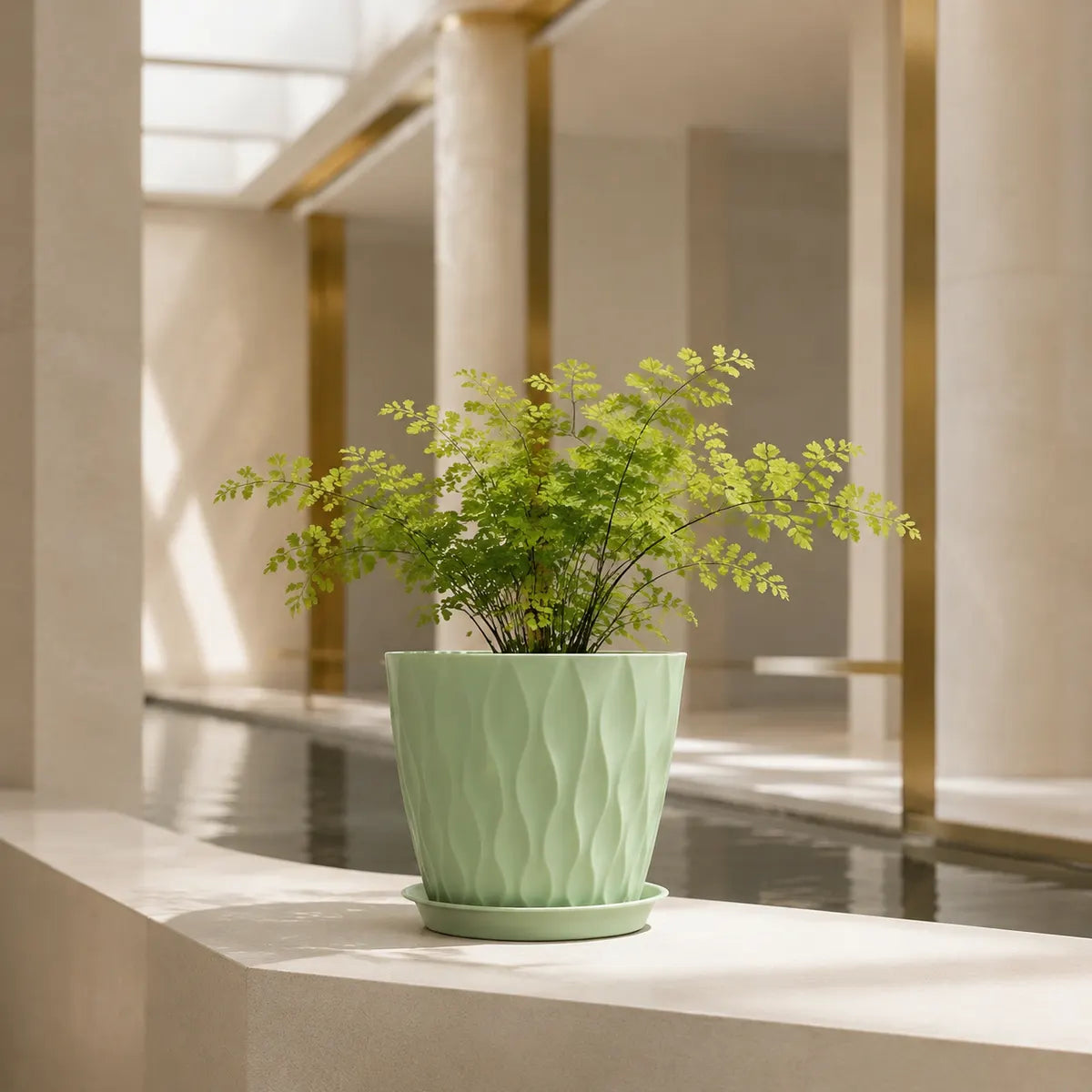 Plantermuse 8-Inch Ripple Planters With Saucers