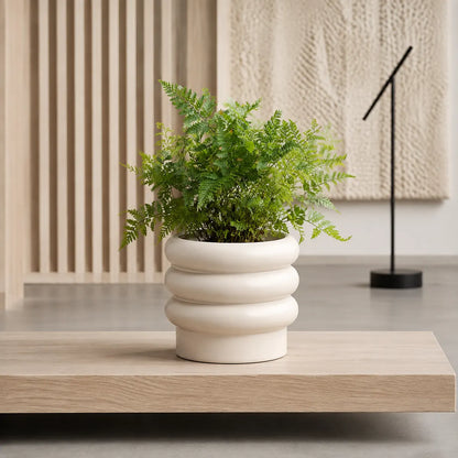 Plantermuse Modern Tiered Bubble Ceramic Planter