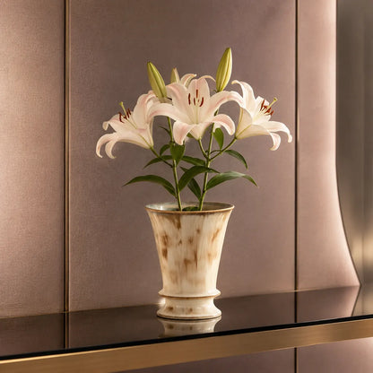 Plantermuse Luxury Ceramic Orchid Planter Pot