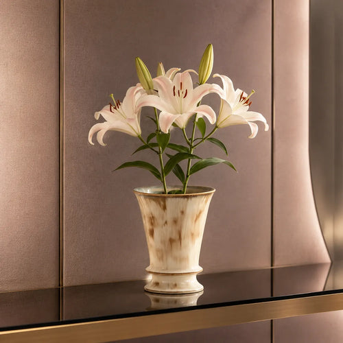 Plantermuse Luxury Ceramic Orchid Planter Pot