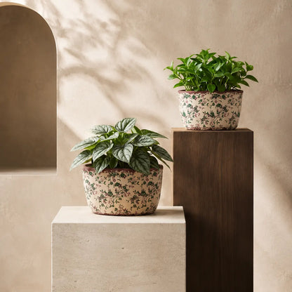 Plantermuse Rustic Floral Ceramic Planter Set
