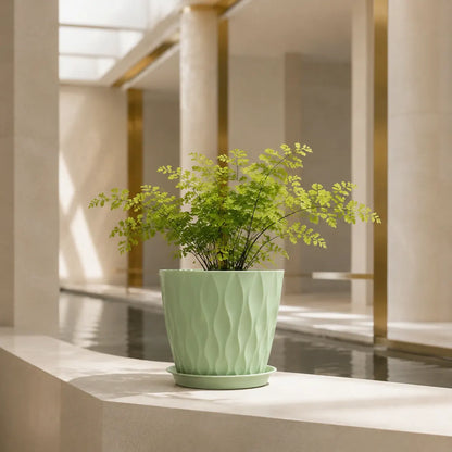 Plantermuse 8-Inch Ripple Planters With Saucers