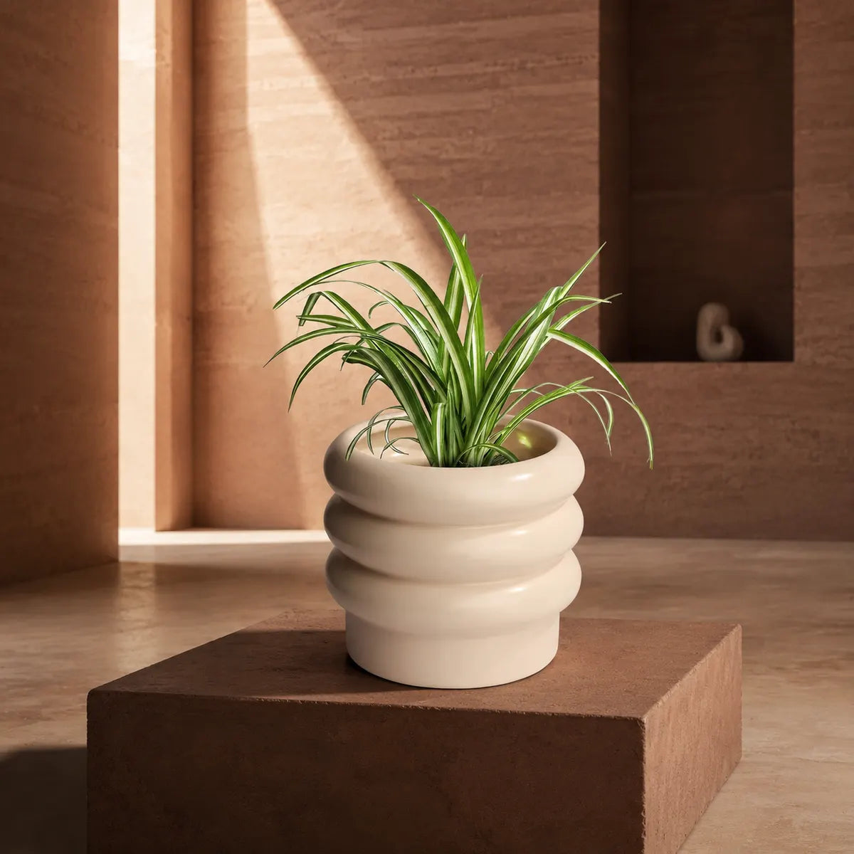 Plantermuse Modern Tiered Bubble Ceramic Planter