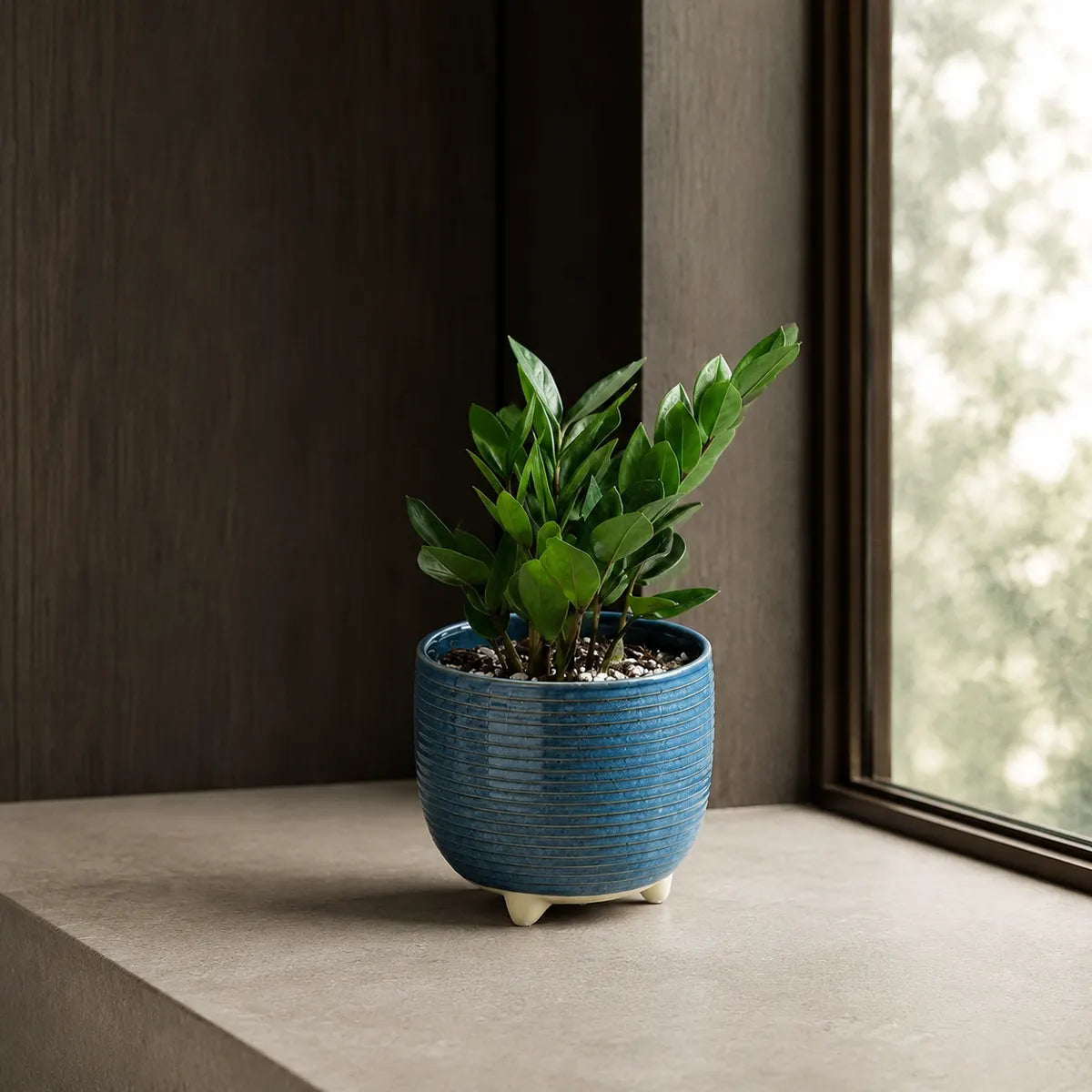 Plantermuse Footed Reactive Glaze Ceramic Planters