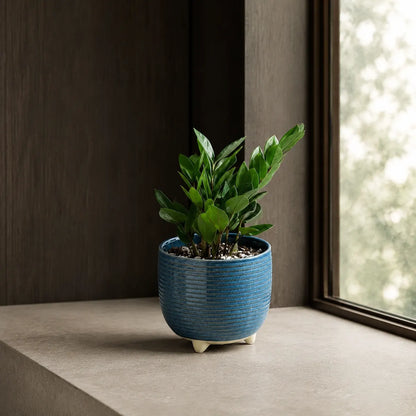Plantermuse Footed Reactive Glaze Ceramic Planters