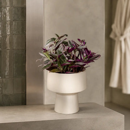 Plantermuse Pedestal Ceramic Tabletop Plant Pot