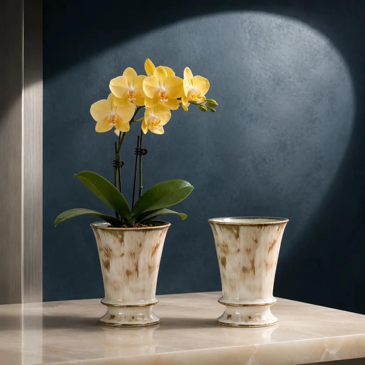 Plantermuse Luxury Ceramic Orchid Planter Pot
