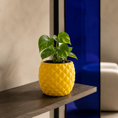 Plantermuse Modern Yellow Pineapple Succulent Pot