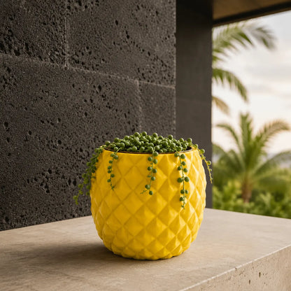 Plantermuse Modern Yellow Pineapple Succulent Pot
